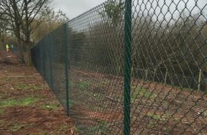 Green Chainlink Fence