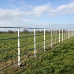 Steel Railings For Animal Field