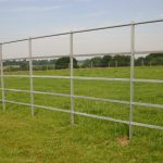 Steel Fence For Horse Field